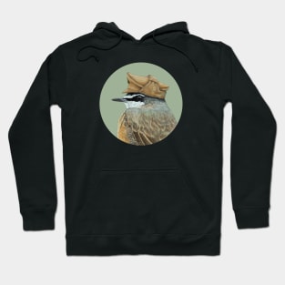 Red-breasted wheatear Hoodie